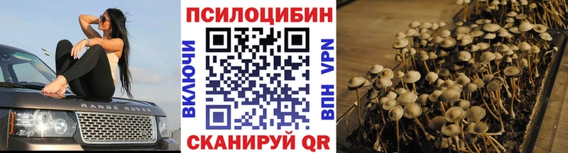 shop как зайти  Сосногорск  Галлюциногенные грибы прущие грибы 